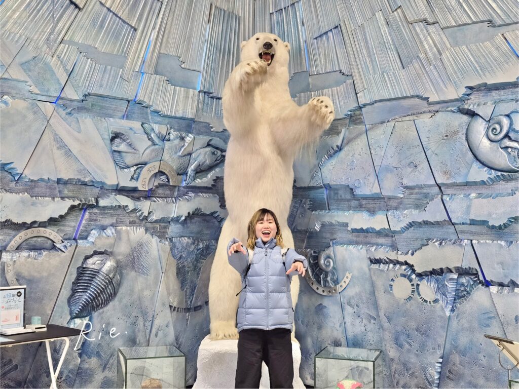 ホッキョクグマの剥製