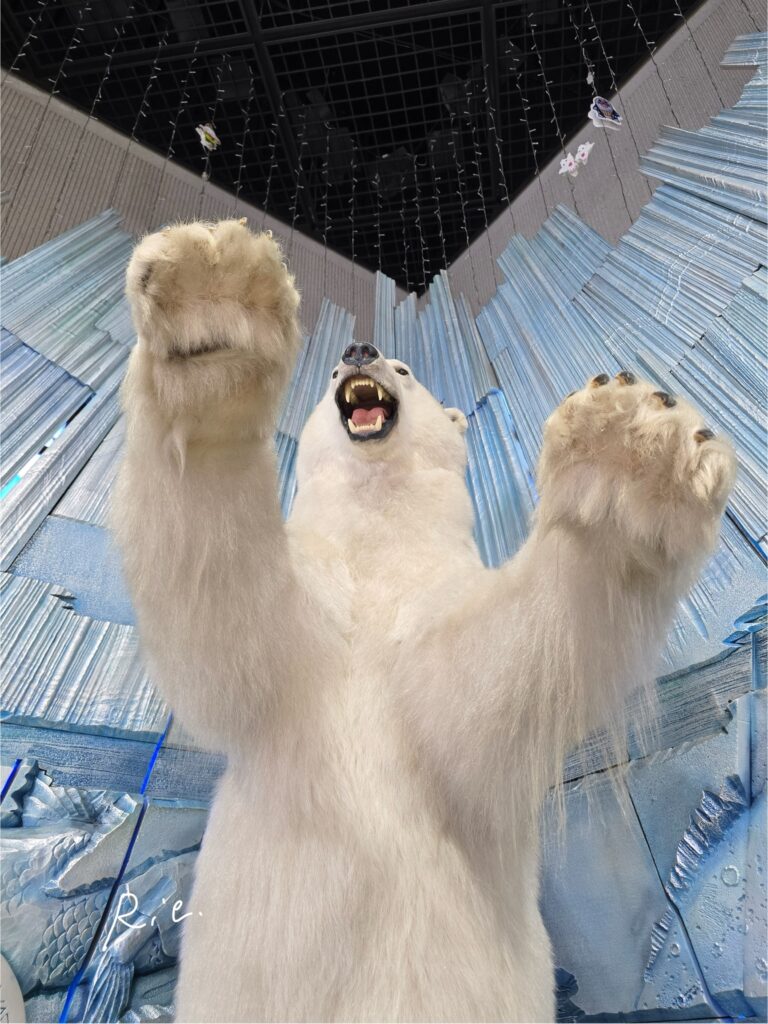 下から見上げたホッキョクグマ