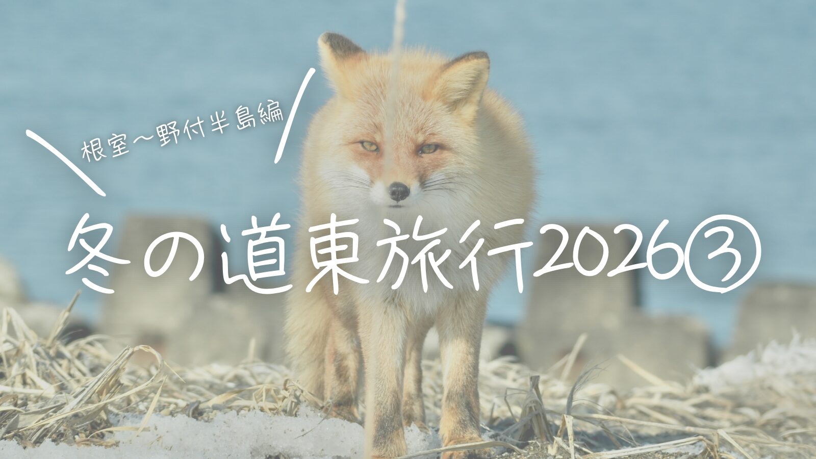 冬の道東旅行2026③根室〜野付半島編