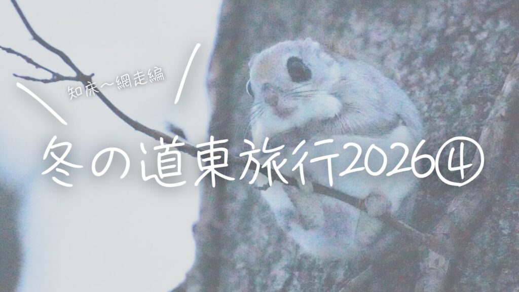 冬の道東旅行2026④知床〜網走編
