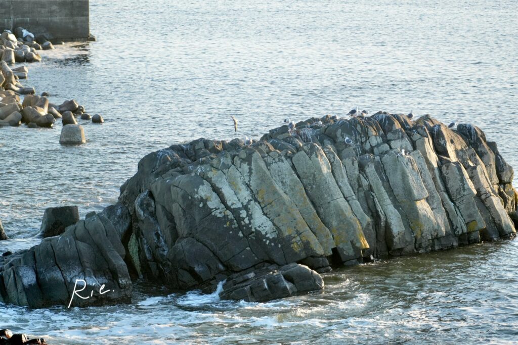 放射状節理の石