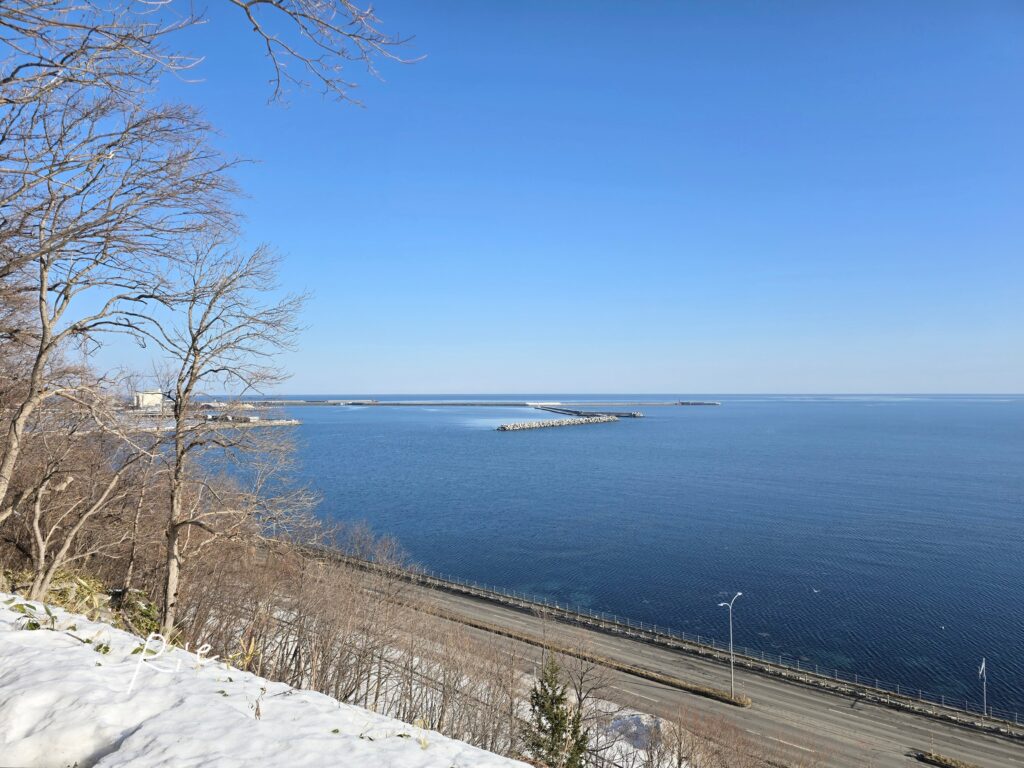 公園から見た海側の景色