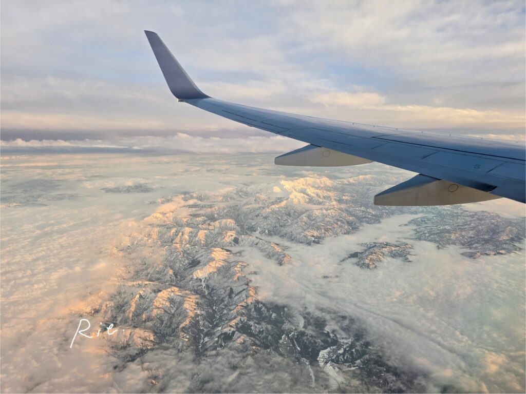 飛行機からの景色
