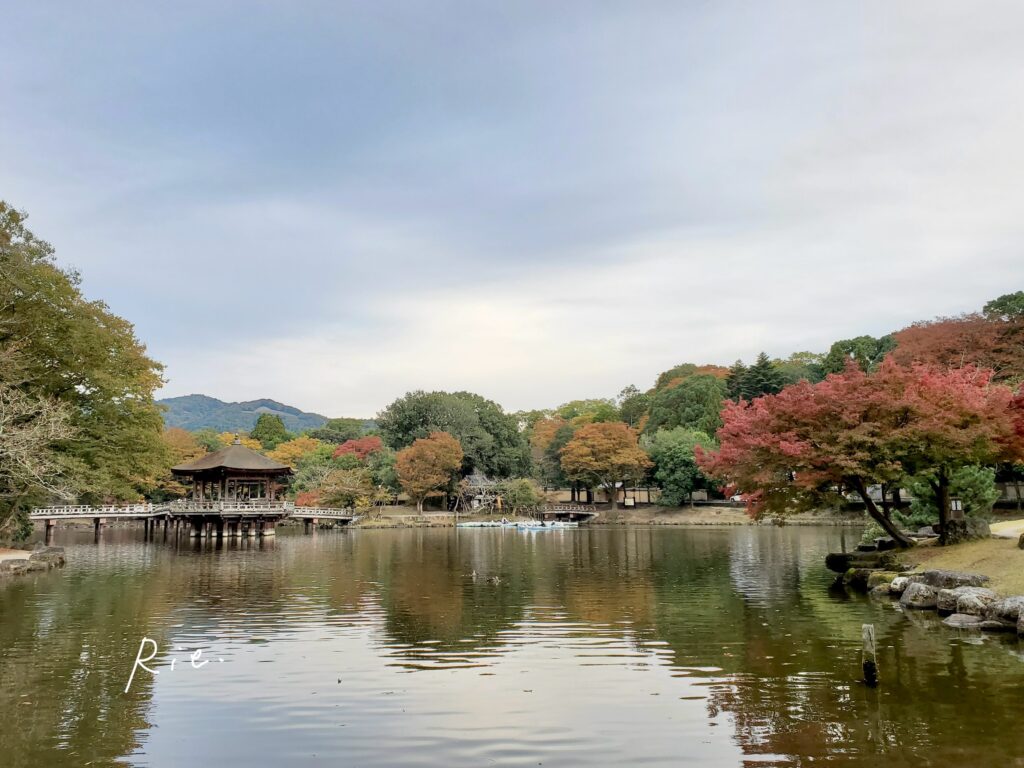 紅葉の時期の浮見堂