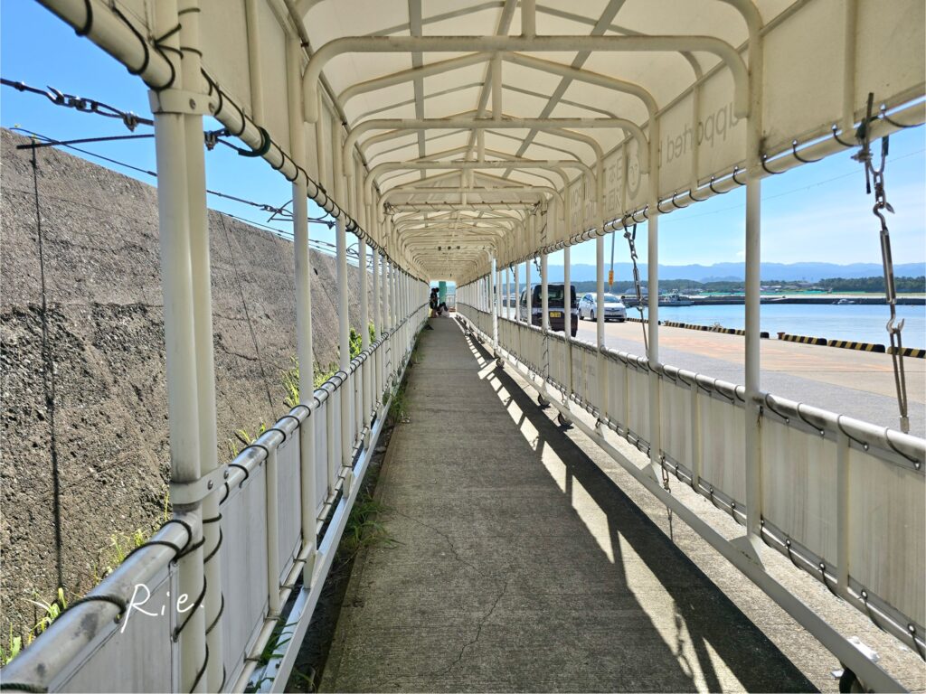 フェリー待ちの並び場所