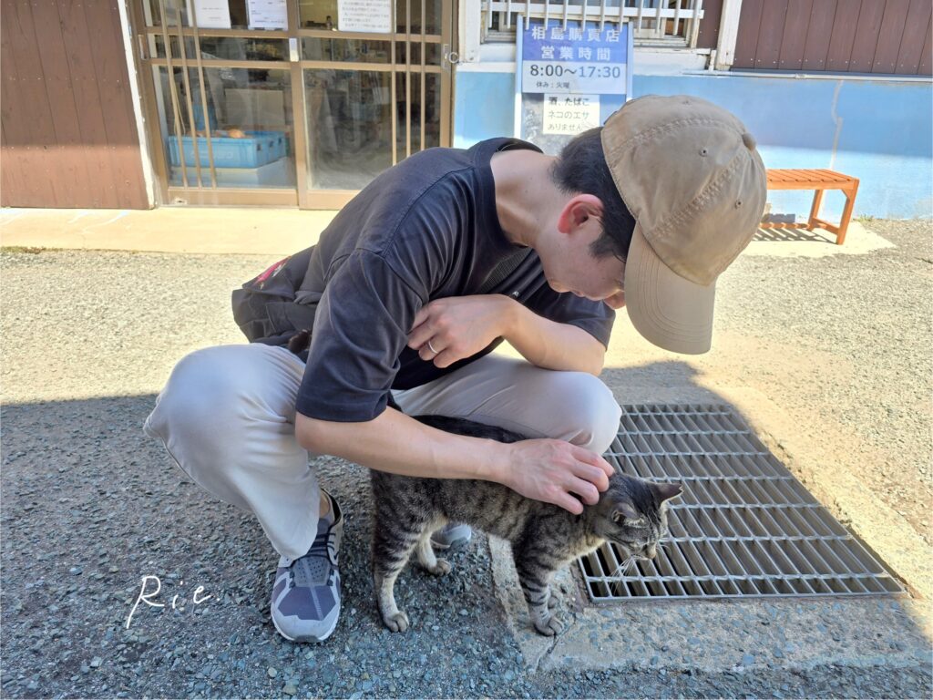 猫ちゃんとのふれあいの様子