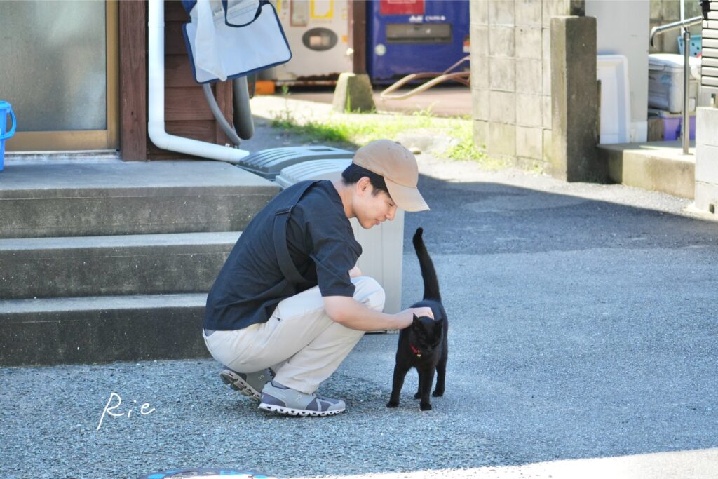 猫ちゃんとのふれあいの様子